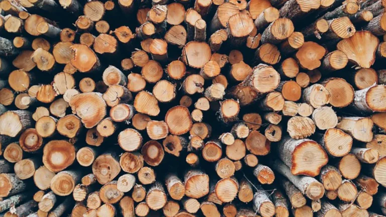 brunner_holz_brennholz_rundholz-stapel_sorten